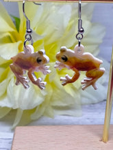 Load image into Gallery viewer, Novelty acrylic frog earrings
