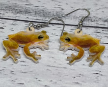 Load image into Gallery viewer, Novelty acrylic frog earrings
