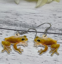 Load image into Gallery viewer, Novelty acrylic frog earrings
